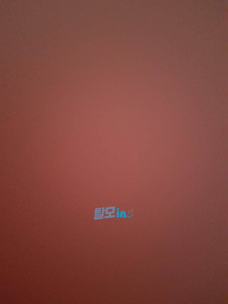 핀페시아 900정 photo review